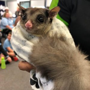 Copy of IMG_0220 - Copy